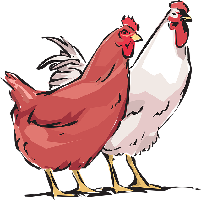 17 au 22 juillet 2023 – La vie à la ferme (7 à 12 ans)
